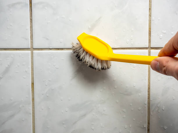Best Professional Mold Removal  in Lone Tree, IA