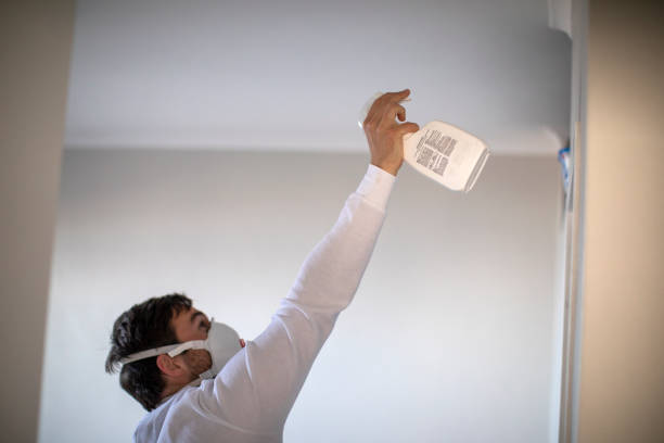 Best Attic Mold Removal  in Lone Tree, IA